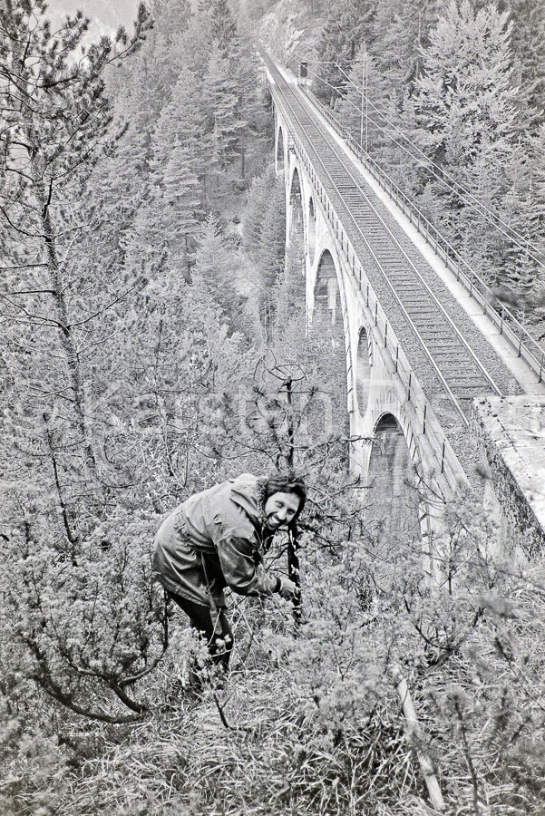 410 13,7 - 1980 49_KR60215