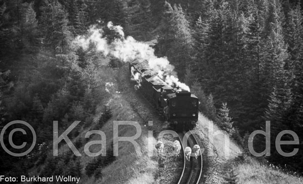 AT 61 Erzbergbahn - km --Ort, Jahr__Datei- Kühe-#36303