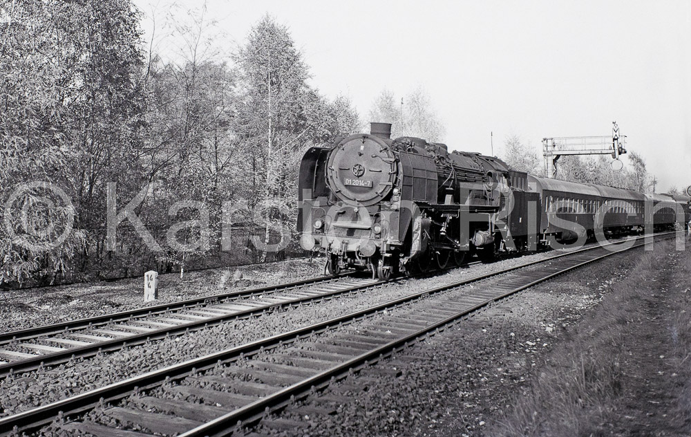 Berlin 25,9 Hühnerhugo - R2-01-12_KR57227-WE B-Bearbeitet