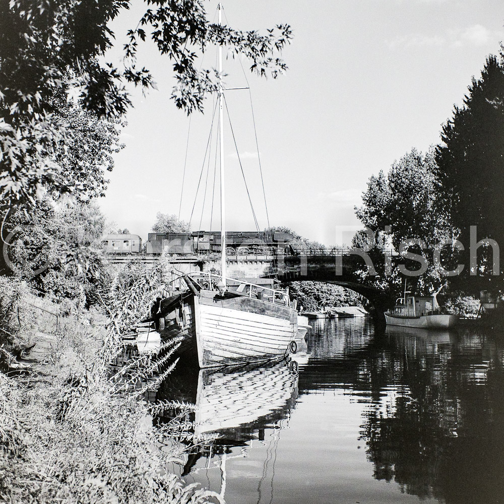Berlin 8,3 Tiergarten - 1976 09_KR81143