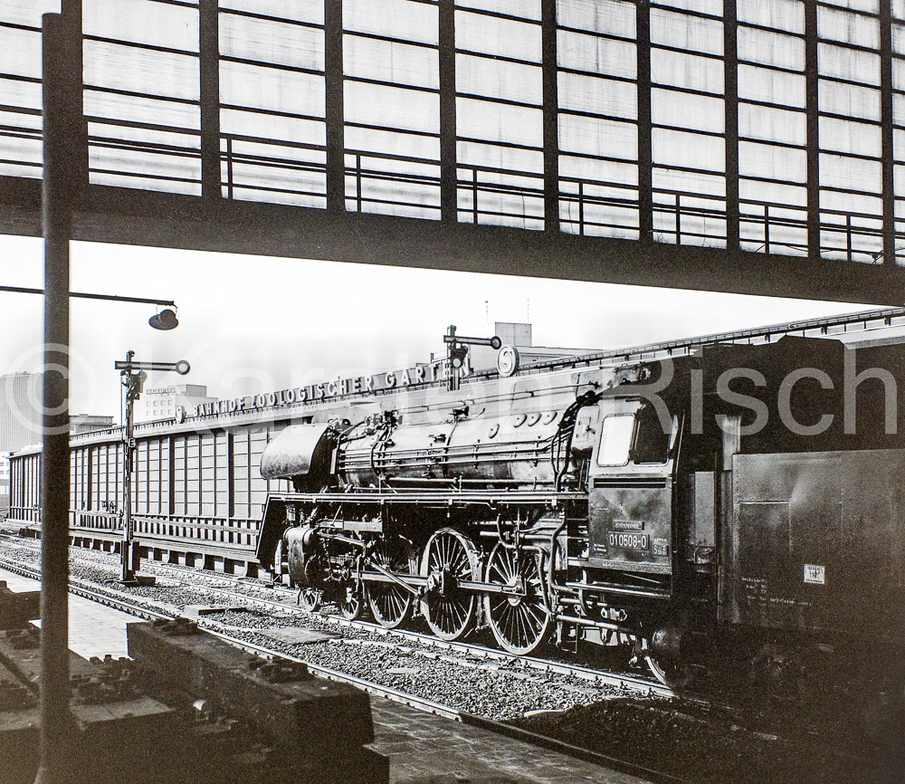 Berlin 9,1 Bf. Zoo - 1975 07_KR10070