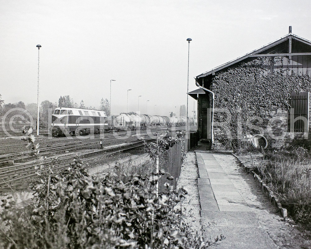 Berlin Grunewald - 1984 04_KR46528