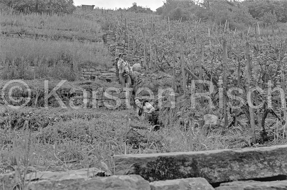 780 28,3 - 1983 38_KR45946