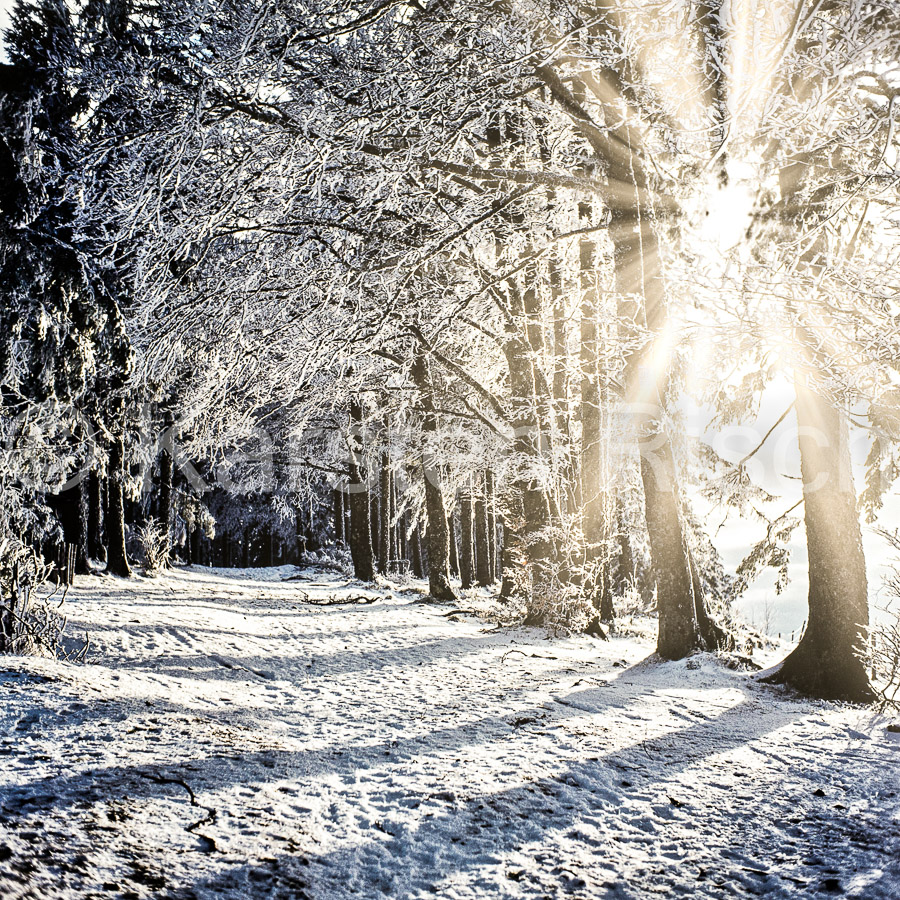 1976_KR30358-Bearbeitet-2