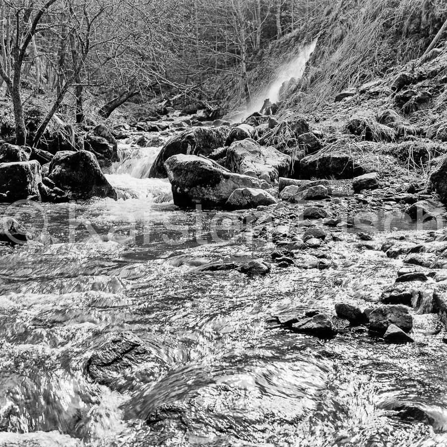 727 xx - 1979 54_KR16347