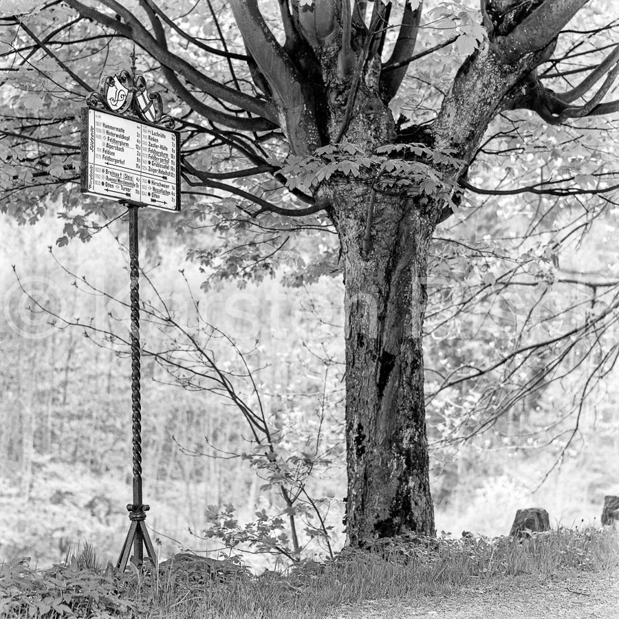 728 7,5 - 1979 86_KR86876