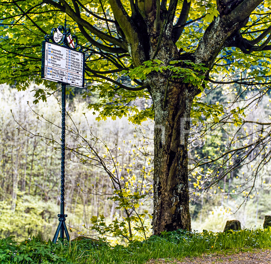 728 7,5 - 1979_KR42147-Bearbeitet