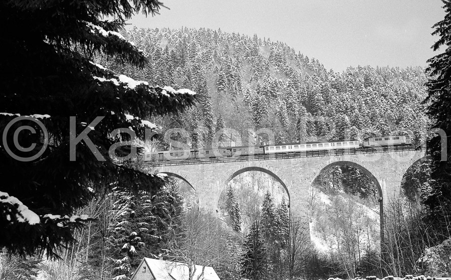 Hoellental -#81821_BW G