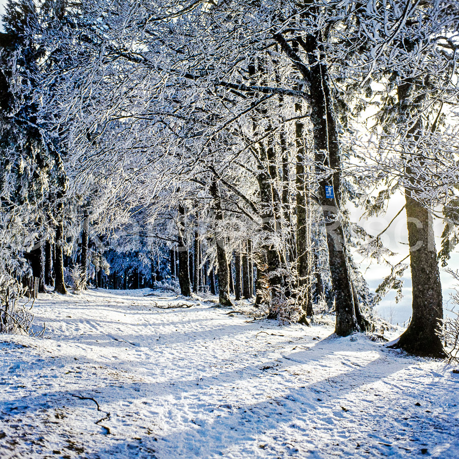 Schwarzwald - 1976_KR30358-Bearbeitet