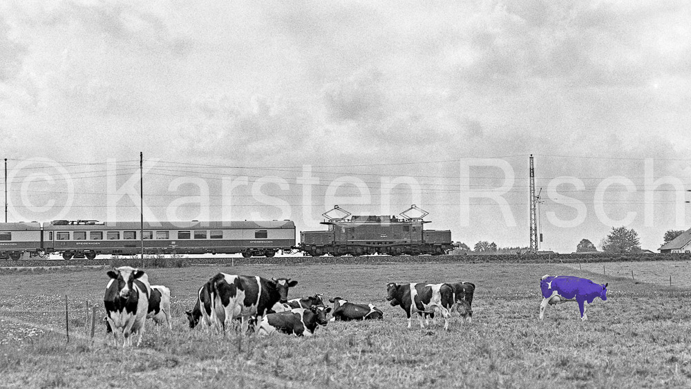 954 0 4,0 - 1978 77_KR24161(Milka)