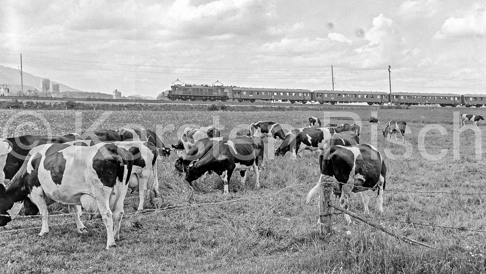 Sonderfahrt M-BG - 951 54,0 - 1978 91_KR34386