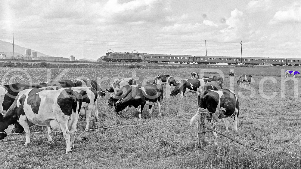 Sonderfahrt M-BG - 951 54,0 - 1978 91_KR34386(Milka)